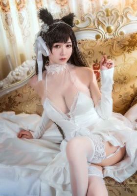 大地资源视频二页
